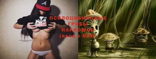 хмурый Новодвинск