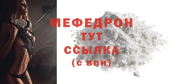 мдпв Новозыбков