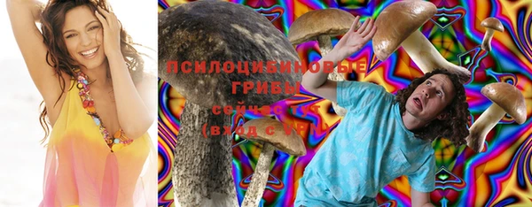 амф Нефтегорск