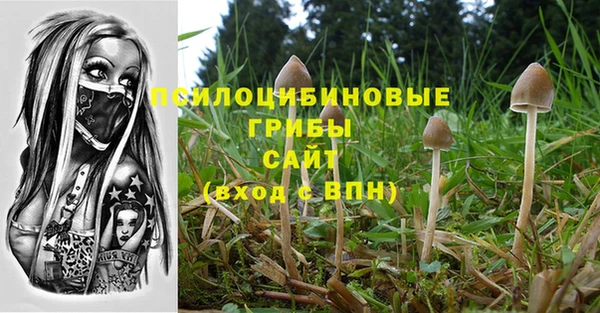 амф Новокубанск