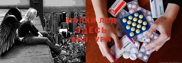 мдпв Новозыбков