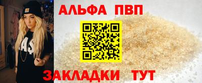 кокс Гатчина