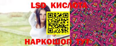 кокс Гатчина