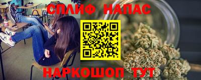 кокс Гатчина