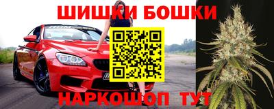 кокс Гатчина