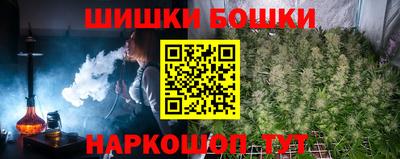 кокс Гатчина