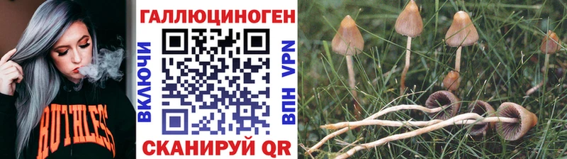 Галлюциногенные грибы Magic Shrooms  Набережные Челны 
