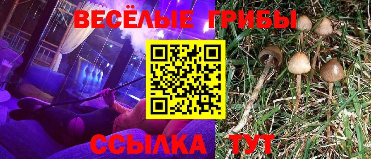 Бошки Шишки  Alpha-PVP СК   НБОМе  MDMA  Набережные Челны  ГАШ  Мефедрон кристаллы  LSD-25  КОКАИН  Вход с VPN 